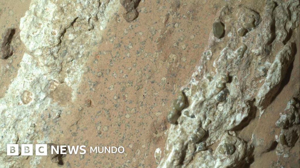 The symbols are made of life past in Mars in stone with 