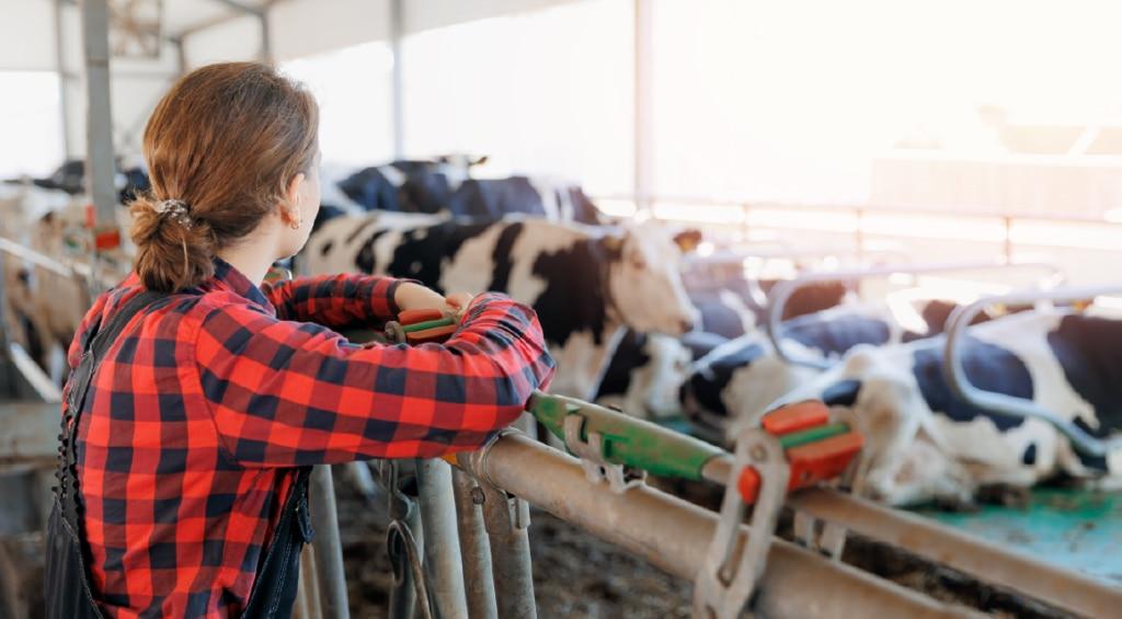 En España, el sector agrícola apuesta por la generación de ayuda de generación en generación