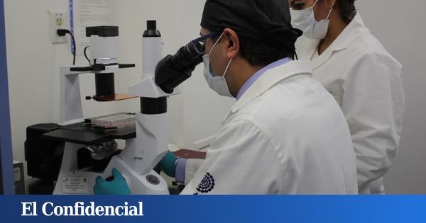 They managed to bother the first time in a human fabric of activating Parkinson