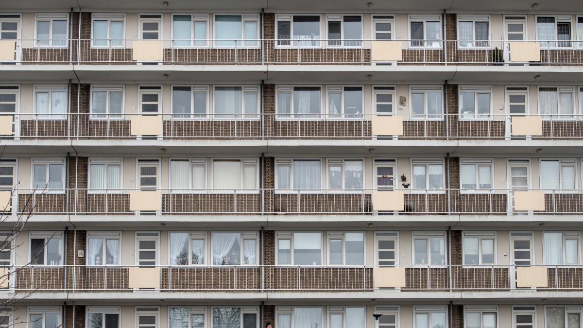 Housing and migration, Wilder's cocktail remains in the Netherlands