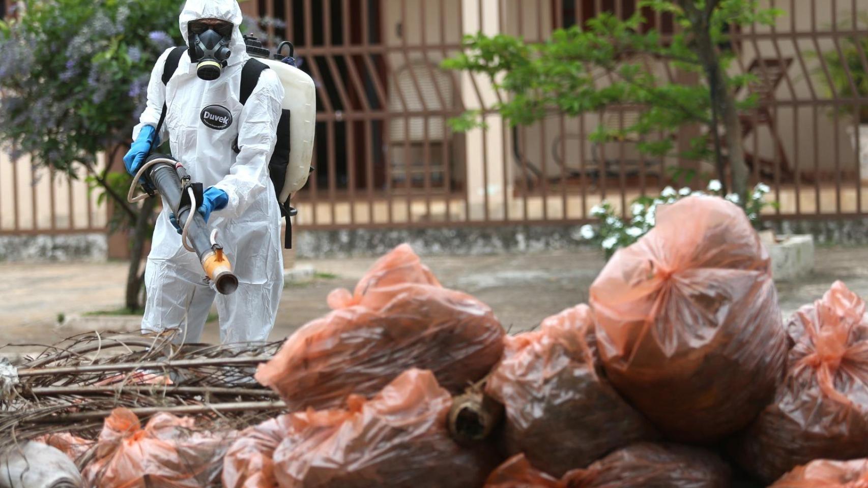 Dengue isst Chikungunya gives Europe to inform a record of tropical diseases: 